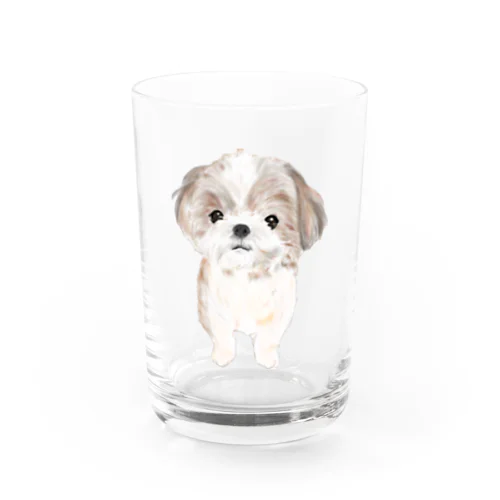 シーズーちゃんおすましポーズ Water Glass