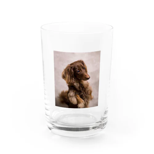 愛犬マリア2 Water Glass