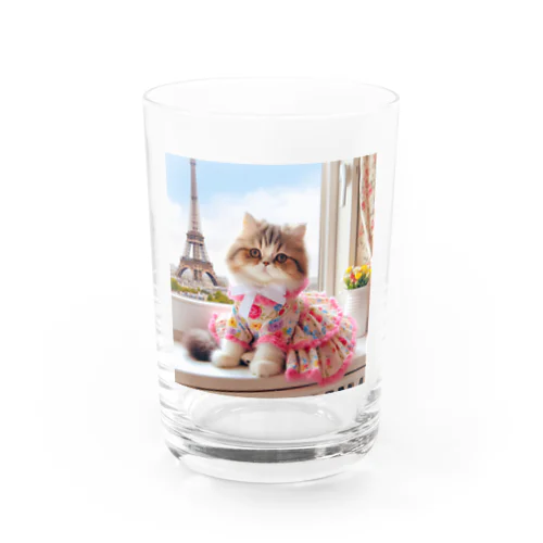 パリジェンヌな猫ちゃん Water Glass