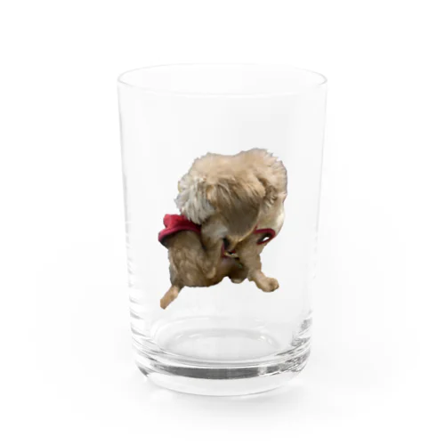 犬　ガジガジ Water Glass