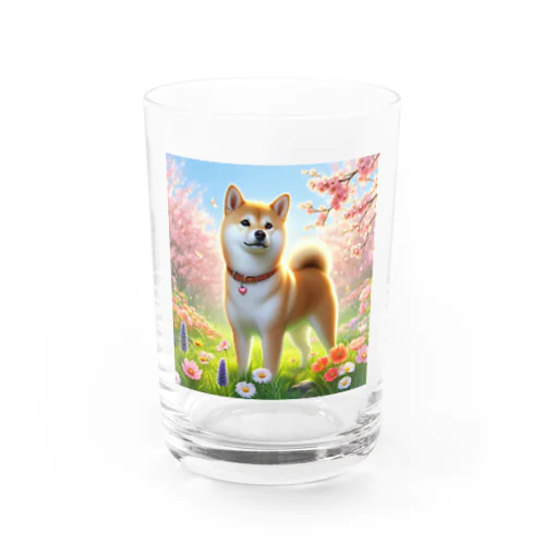 春の柴犬の冒険 Water Glass