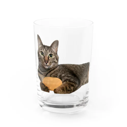 『猫に小判』オレはニャン蔵 Water Glass