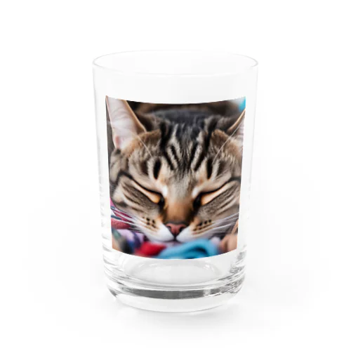 寝ている猫 Water Glass