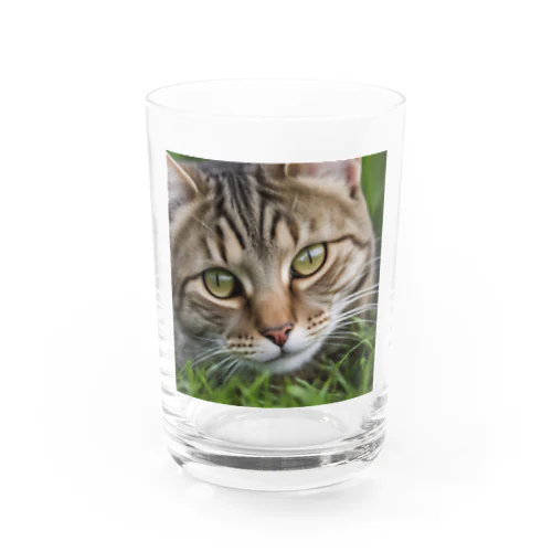 草村の猫 Water Glass