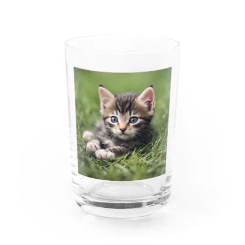 わくわくな気持ちで見つめる子猫 Water Glass