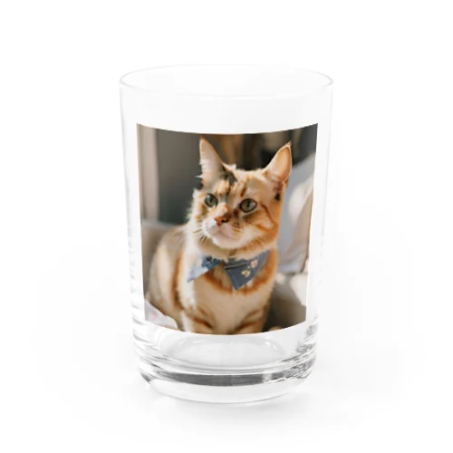 かわいい猫 Water Glass