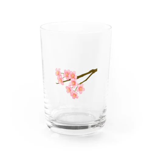 桜 Water Glass