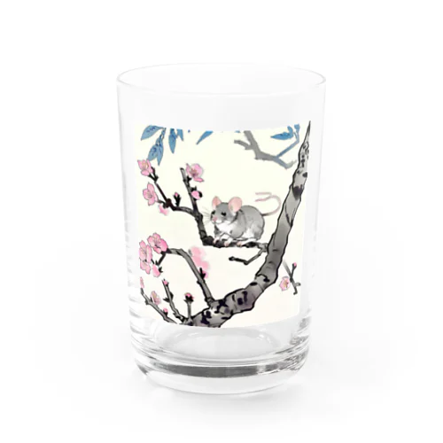 鼠と桜　パート5 グラス