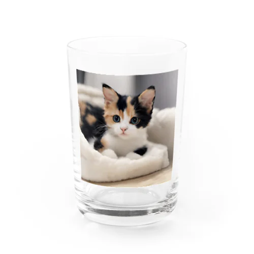 愛らしい子猫ちゃん Water Glass