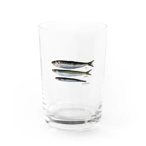 イワシ３点セット Water Glass
