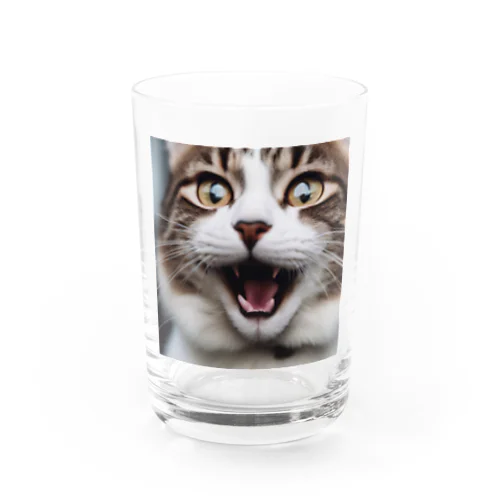 お腹ペコペコ おねだり猫 -KOTORA- Water Glass