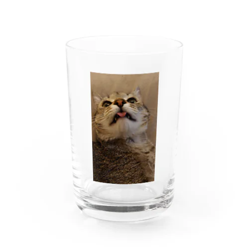 ぺろりんかるかる Water Glass