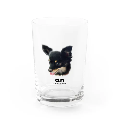 AN Water Glass