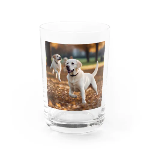 公園で他の犬と遊んでいるラブラドール・レトリーバー 白 犬 ワンちゃん 可愛い ペット 癒やし Water Glass