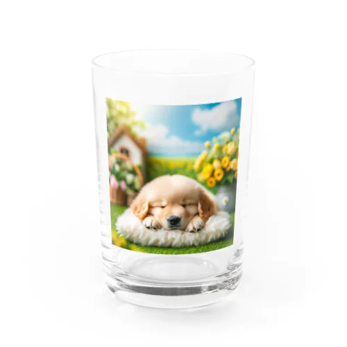 ゴールデンの子犬 Water Glass