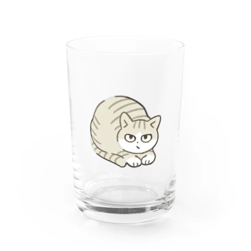 キジ白猫 グラス