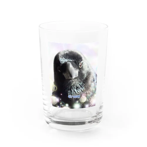 カラスのクッピ Water Glass