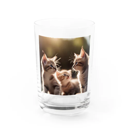 昼下がりの子猫たち Water Glass