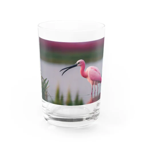 鳥8 Water Glass