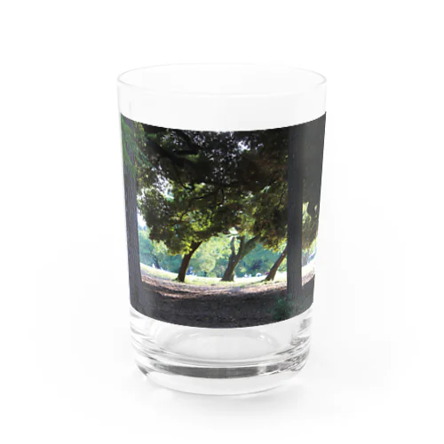 おとぎの公園の木 Water Glass