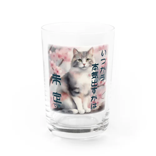 本気、出さないとは言ってないにゃ。 Water Glass