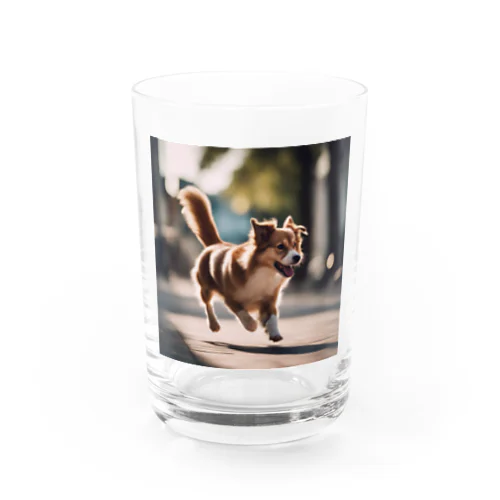 犬⑩ Water Glass