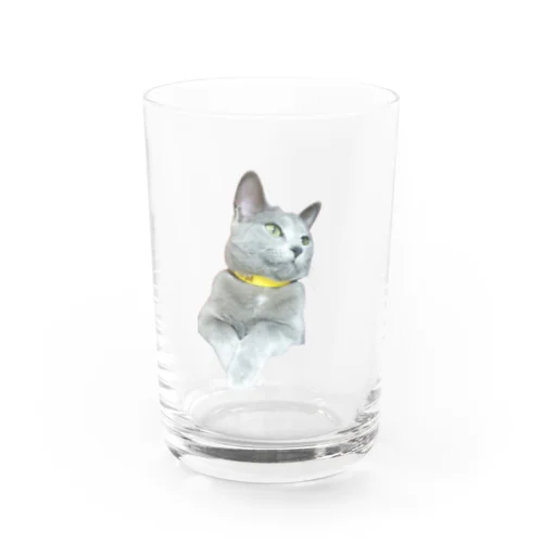 気分が和む可愛いニャン子　　 Water Glass