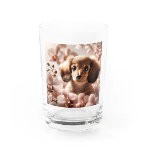 洋ランの花が美しく咲き誇るダックス！  Water Glass