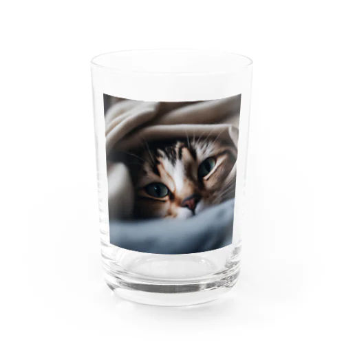 毛布の下に隠れている猫 Water Glass