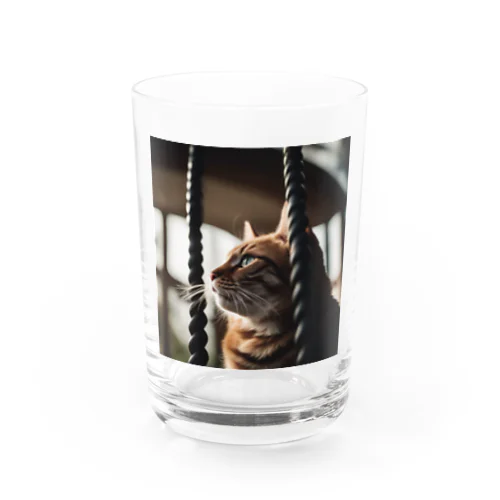 タワーに登っている猫 Water Glass