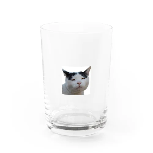 ブサかわ猫　ベン Water Glass