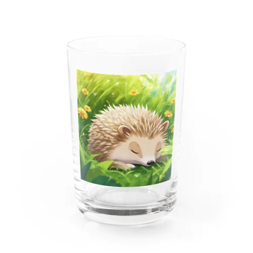 眠るハリネズミ Water Glass