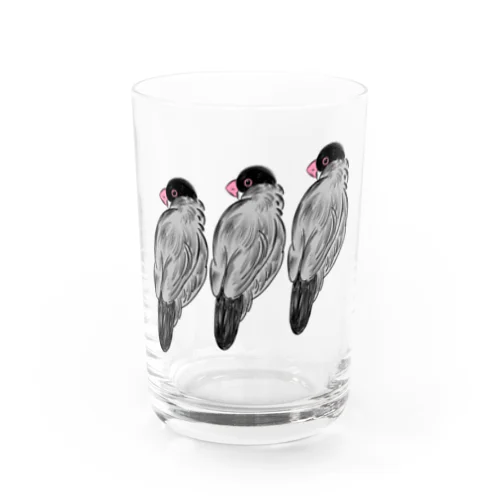 ふさふさ文鳥くん Water Glass