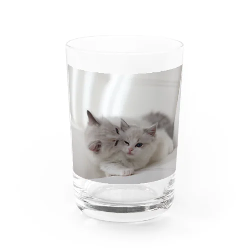 Ragdoll兄妹 Water Glass