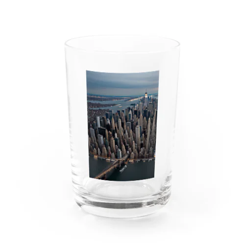 NYC Water Glass