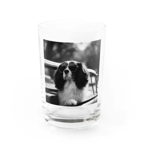 サングラスのBarry Water Glass