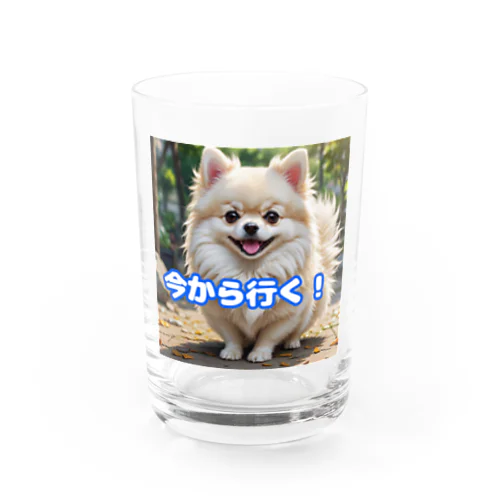 今から行くポメチワ Water Glass