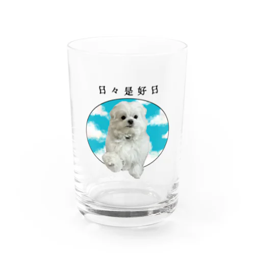 日々是好日犬 Water Glass