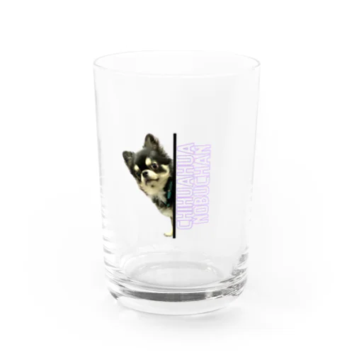 ひょっこりのぶちゃん Water Glass