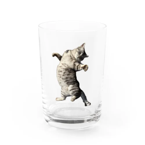 お腹が重くて寝返りが大変な猫 Water Glass