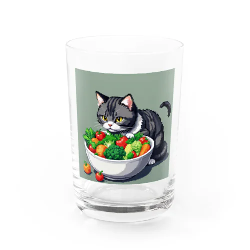 可愛い猫ちゃんは健康的な食生活をエンジョイ中 グラス