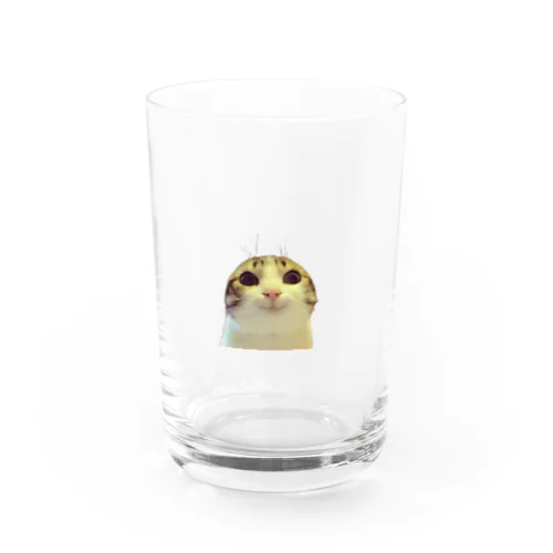 お願い猫 meme Water Glass