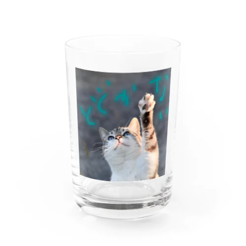 手が短い猫 Water Glass