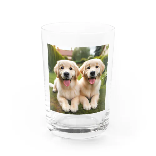 可愛い犬 Water Glass