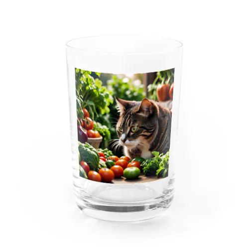 草食な猫？ Water Glass