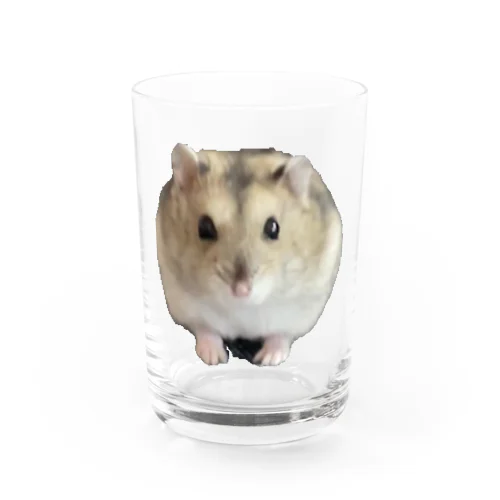 たーさん Water Glass