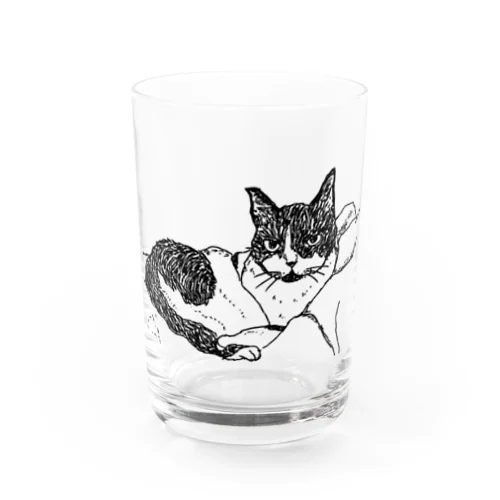 にんまり 猫ちゃん。 Water Glass