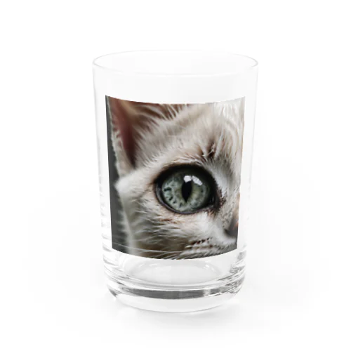 ドアップ猫さん Water Glass