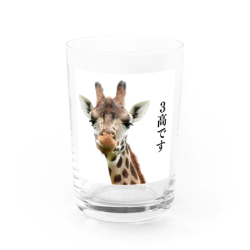 ３高キリン Water Glass