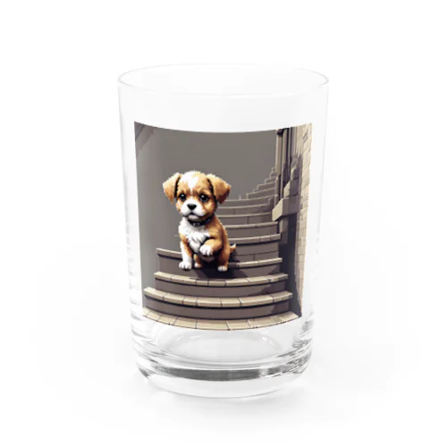 階段をおりる犬 Water Glass